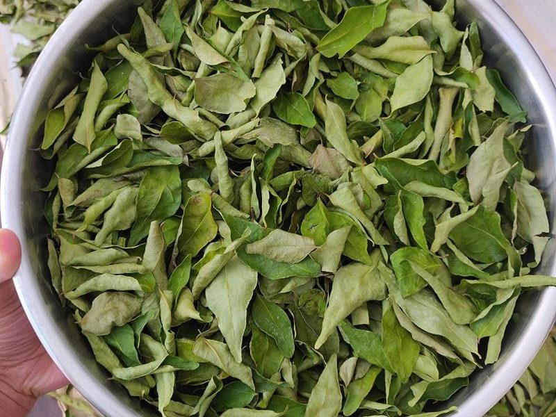 dehydrated curry leaves