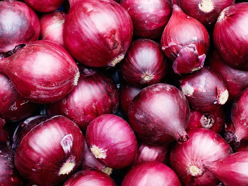 onion onion